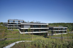 Komponovanou skladbu objektu odlehčují dvory se zahradami