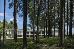 V lesích kolem pavilonu jsou pole žulových kamenů. Mohutné kameny slouží jako základová konstrukce. Na základě jejich rozměrů a vzhledu se specifikovala jejich poloha v modulové síti.