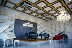 Průvlaky pultové střechy byly doplněny o dřevěné lepené prvky tak, aby vytvořily podhledový prostor pro osazení akustických pohltivých a rezonančních prvků. Do těžiště tohoto podhledu byl umístěn křišťálový lustr.