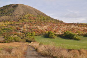 EVL OBlík, Srdov, Brník a sad_J.Ptáčková